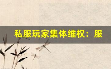 私服玩家集体维权：服务器频繁卡顿，GM 拒绝退款